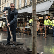 À Bordeaux, les arbres sont désormais des «sujets de droit»