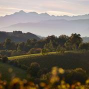 Œnotourisme : de Béarn et d'or, sur la route des vins du jurançon