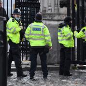 Royaume-Uni : un homme arrêté après s'être introduit dans le Parlement britannique