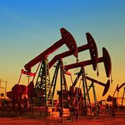 Le pétrole profite d'un regain d'optimisme des marchés quant au variant Omicron