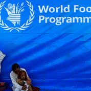 Éthiopie: l'Onu suspend des distributions de nourriture après des pillages