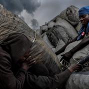 Le fléau du charbon de bois en République démocratique du Congo
