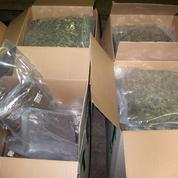 Loiret : une tonne de pollen de cannabis saisie dans une cargaison de chips