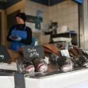 Quotas de pêche dans l'UE: «une politique commune déshumanisée» dénoncent les pêcheurs français
