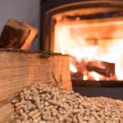 L'industrie des granulés de bois en Estonie sur le banc des accusés