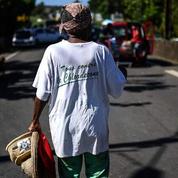 Chlordécone : «une avancée» mais «encore incomplète» pour des élus des Antilles