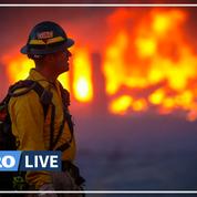 Colorado : des centaines de maisons détruites par des incendies, 33.000 évacuations
