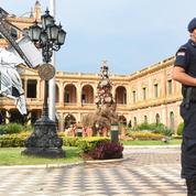 Paraguay : un garde tué par un cerf dans les jardins du palais présidentiel