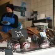 Quotas européens : Paris annonce des aides aux pêcheurs de sole du golfe de Gascogne