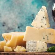 Fabien Roussel attaqué par Sandrine Rousseau pour ses propos sur le vin, la viande et le fromage: «Jusqu'où iront nos tortionnaires de la table ?»