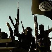 Syrie : 11 djihadistes du groupe État islamique tués dans des raids russes, selon l'OSDH
