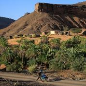 Mauritanie : les plus belles oasis de l'Adrar, dans le Sahara