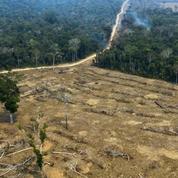 Déforestation importée dans l'UE: Paris vise un accord des 27 d'ici juin