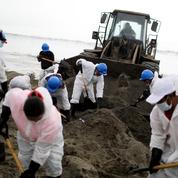 Le Pérou déclare «l'urgence environnementale» pour 90 jours