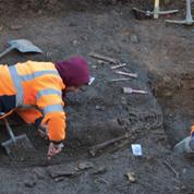 À Rennes, cinq squelettes exhumés avant de planter des chênes à feuilles de laurier