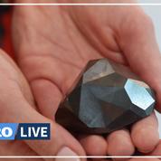 Le plus gros diamant noir naturel au monde adjugé 3,75 millions d'euros