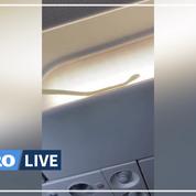 Il y a un serpent dans l'avion : la grosse frayeur des passagers d'un vol d'Air Asia