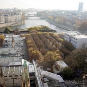 Notre-Dame : bras de fer entre la mairie de Paris et l'Établissement public sur les taxes