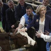 Quel bilan pour la politique animale du quinquennat d'Emmanuel Macron ?