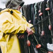 Hausse du gasoil : les pêcheurs bretons tirent la sonnette d'alarme