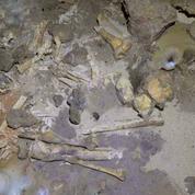 En Charente, découverte exceptionnelle d'une sépulture datant de l'âge du Bronze