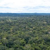 Brésil: déforestation record en Amazonie pour un mois de février