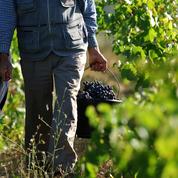 Flambée des prix : plus de 500 viticulteurs et agriculteurs mobilisés dans l'Aude