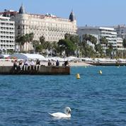 À Cannes, le patrimoine mis aux enchères sous format NFT