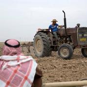 Irak : huit morts dans des heurts tribaux provoqués par une dispute agricole