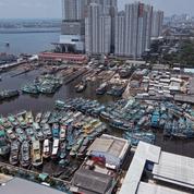 L'Indonésie saisit un bateau qui exportait de l'huile de palme malgré l'interdiction