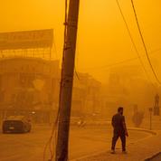 Tempête de sable en Irak : au moins 4000 personnes atteintes de troubles respiratoires