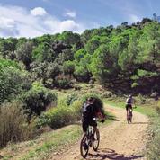 Montagne en été : les cinq plus beaux itinéraires à vélo