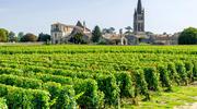 Ces 15 vins de Bordeaux dont la qualité a le plus augmenté depuis 5 ans