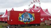 «Il n’y a eu aucune autorisation» : près de Bordeaux, l’installation du cirque Zavatta fait polémique