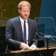 «Notre monde est en feu» : le discours du prince Harry à l'ONU sur l'urgence climatique