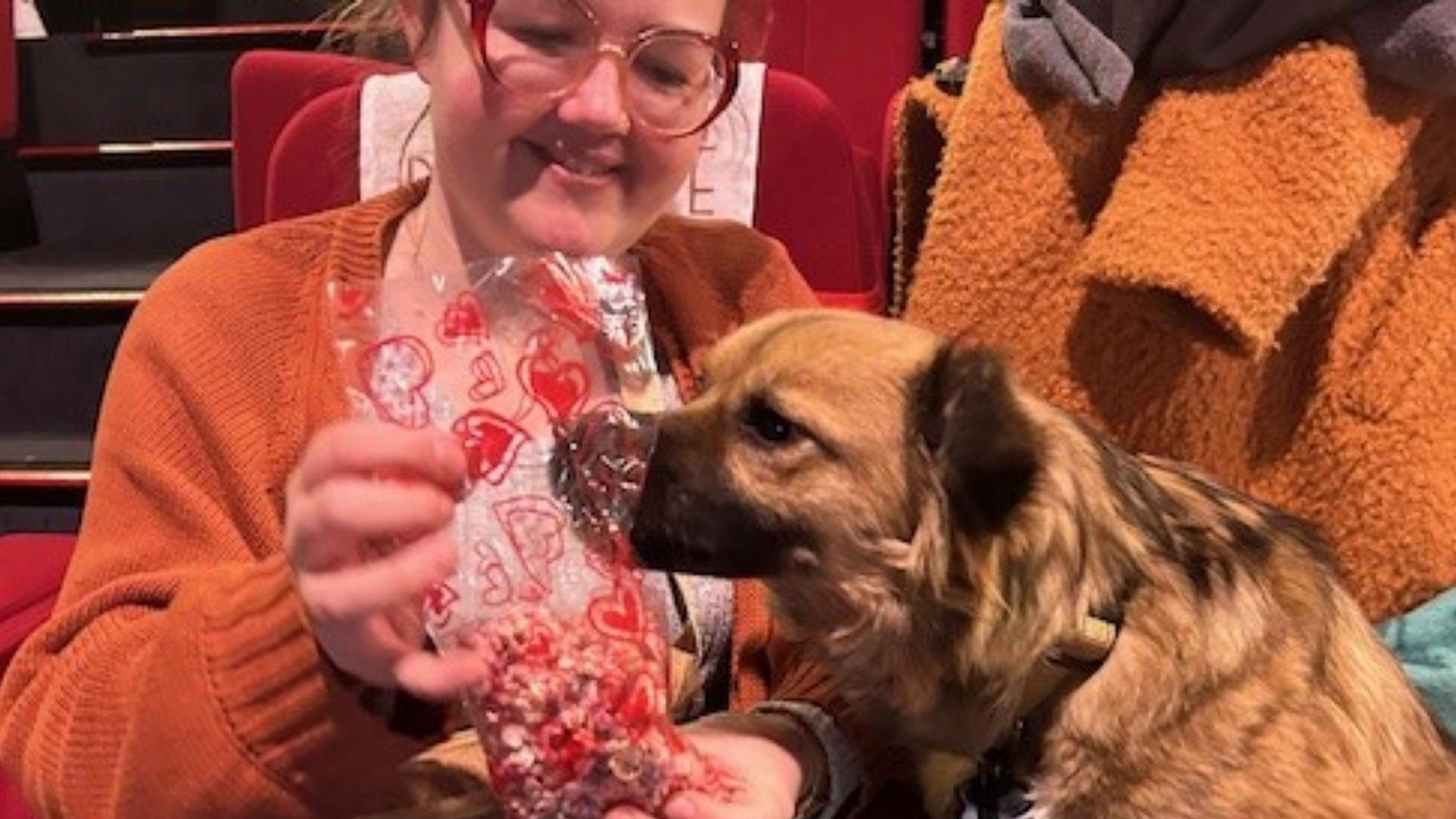 «Les maîtres sont heureux de lâcher prise»: au cinéma avec son chien au Majestic Bastille