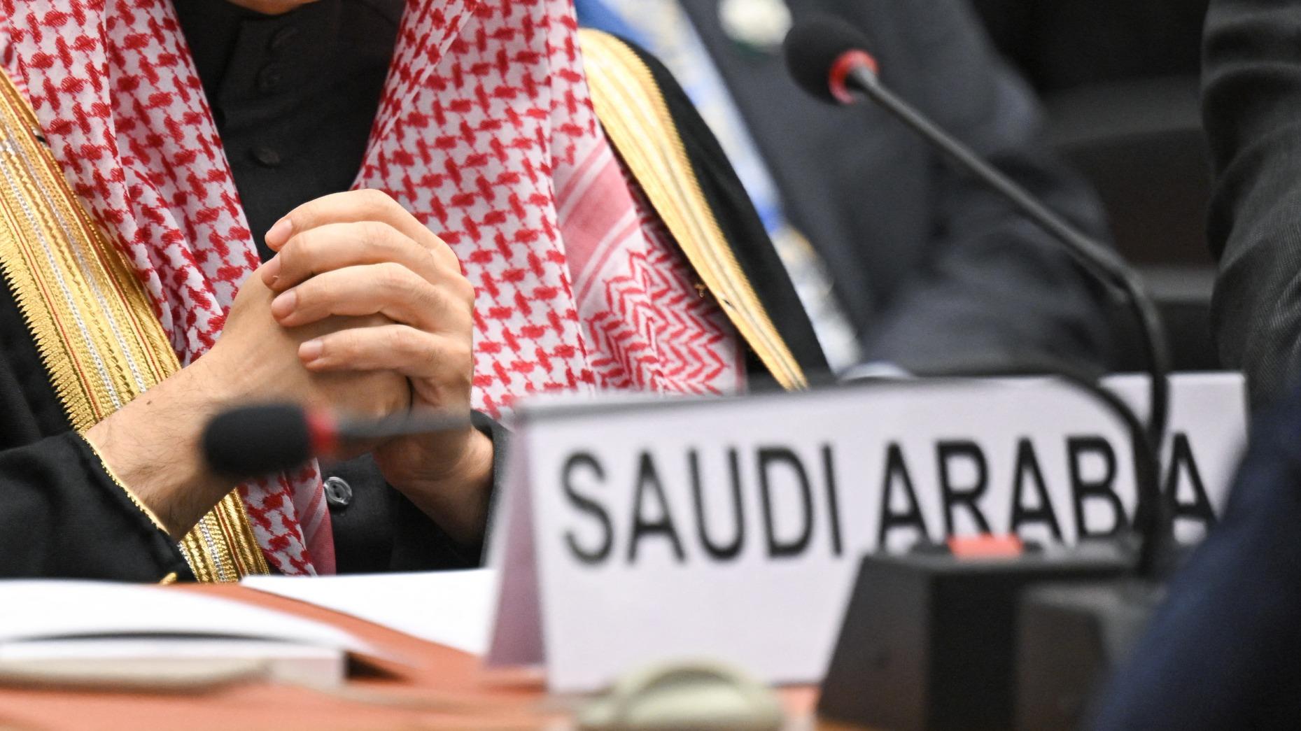 L'Assemblée générale de l’ONU refuse l’entrée de l’Arabie saoudite au Conseil des droits de l'Homme