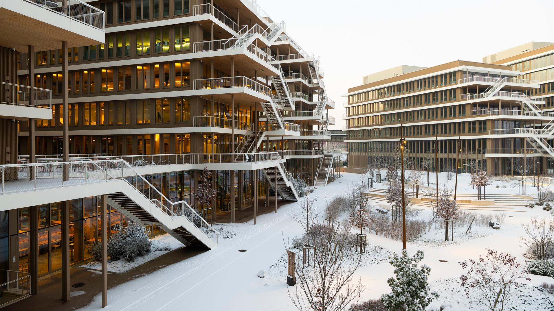 La neige du mois de janvier 2026 a recouvert les bâtiments et le parc d’Arboretum d’un léger manteau blanc.