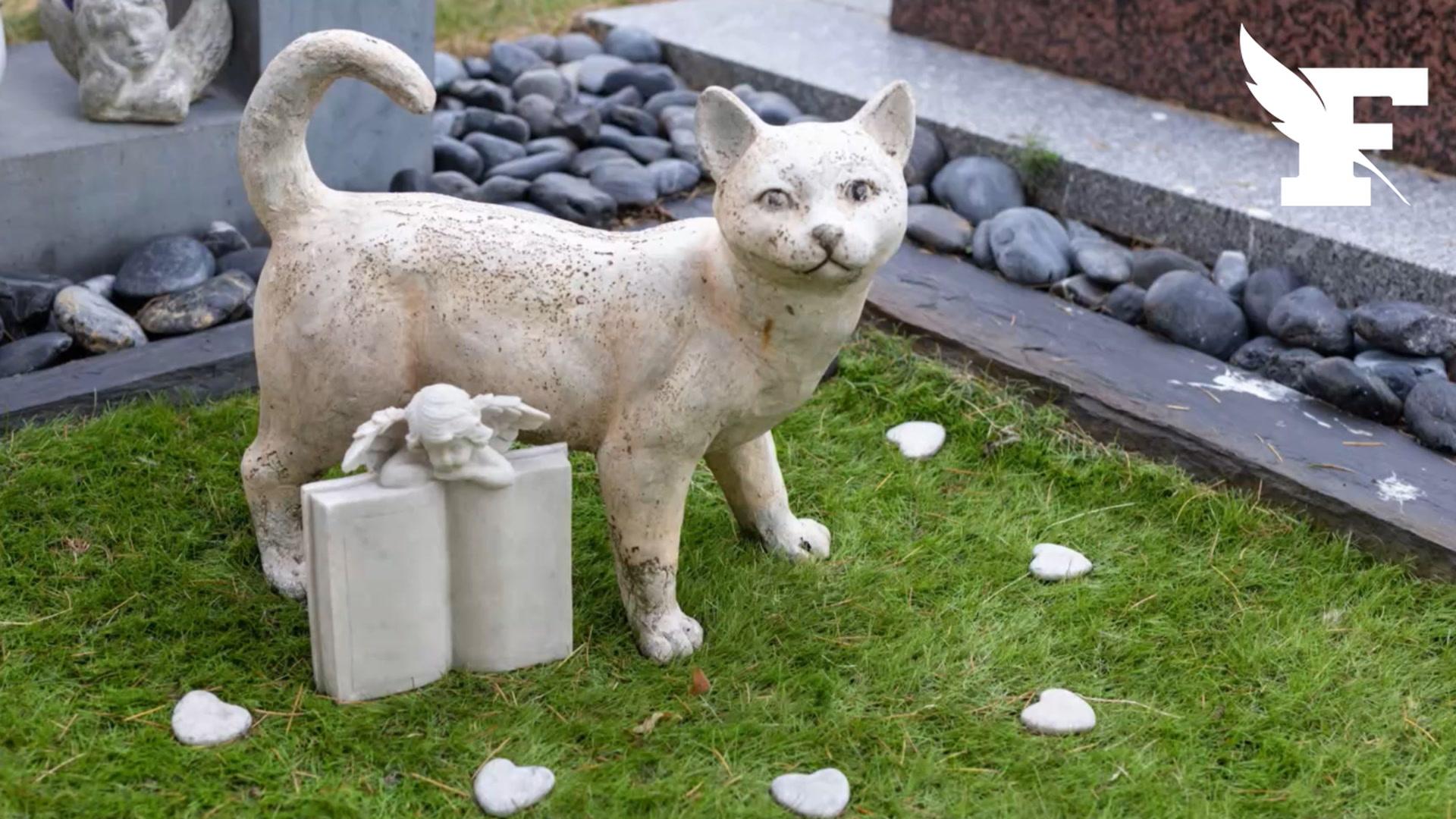 La Baule va ouvrir le premier cimetière animalier de Loire-Atlantique