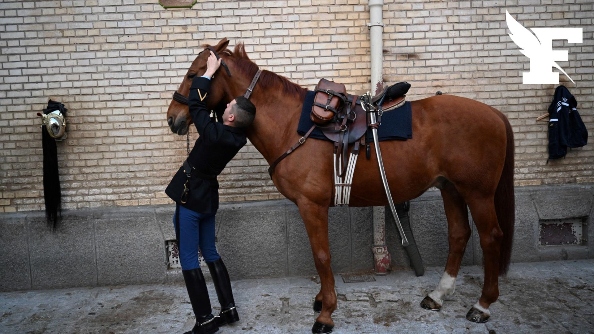 Jeux Olympiques 2024 : quatre chevaux de la garde républicaine décorés lundi