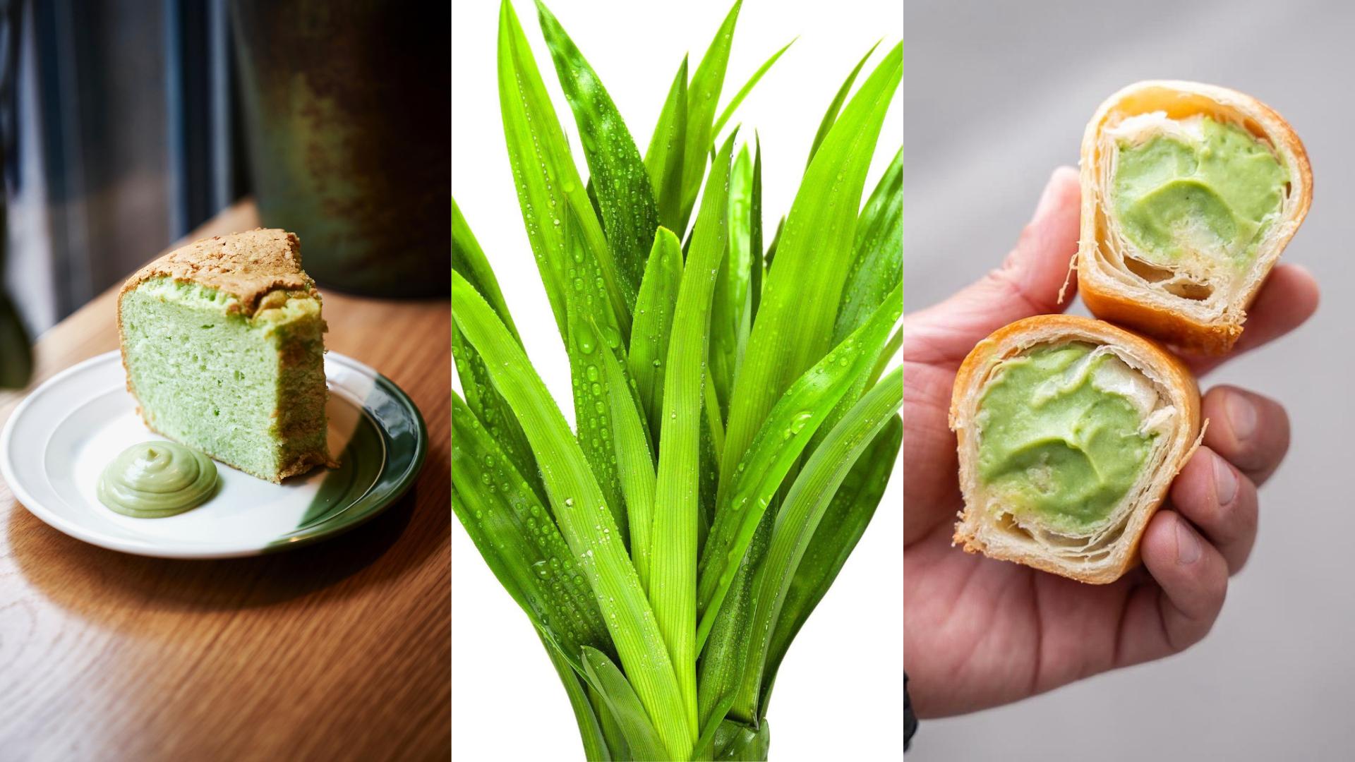 «À Singapour, il pousse partout» : le pandan, cette plante verte d’Asie du Sud-Est qui séduit les gastronomes