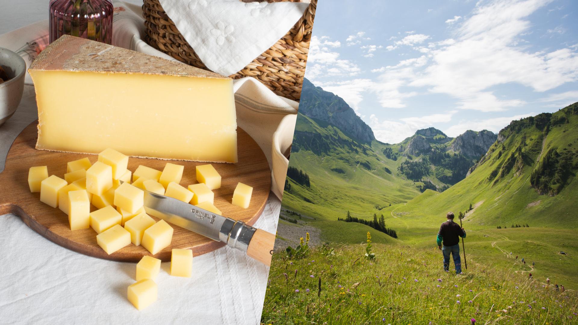 Fromage Abondance : comment la filière savoyarde est devenue un succès français, après avoir failli disparaître ?