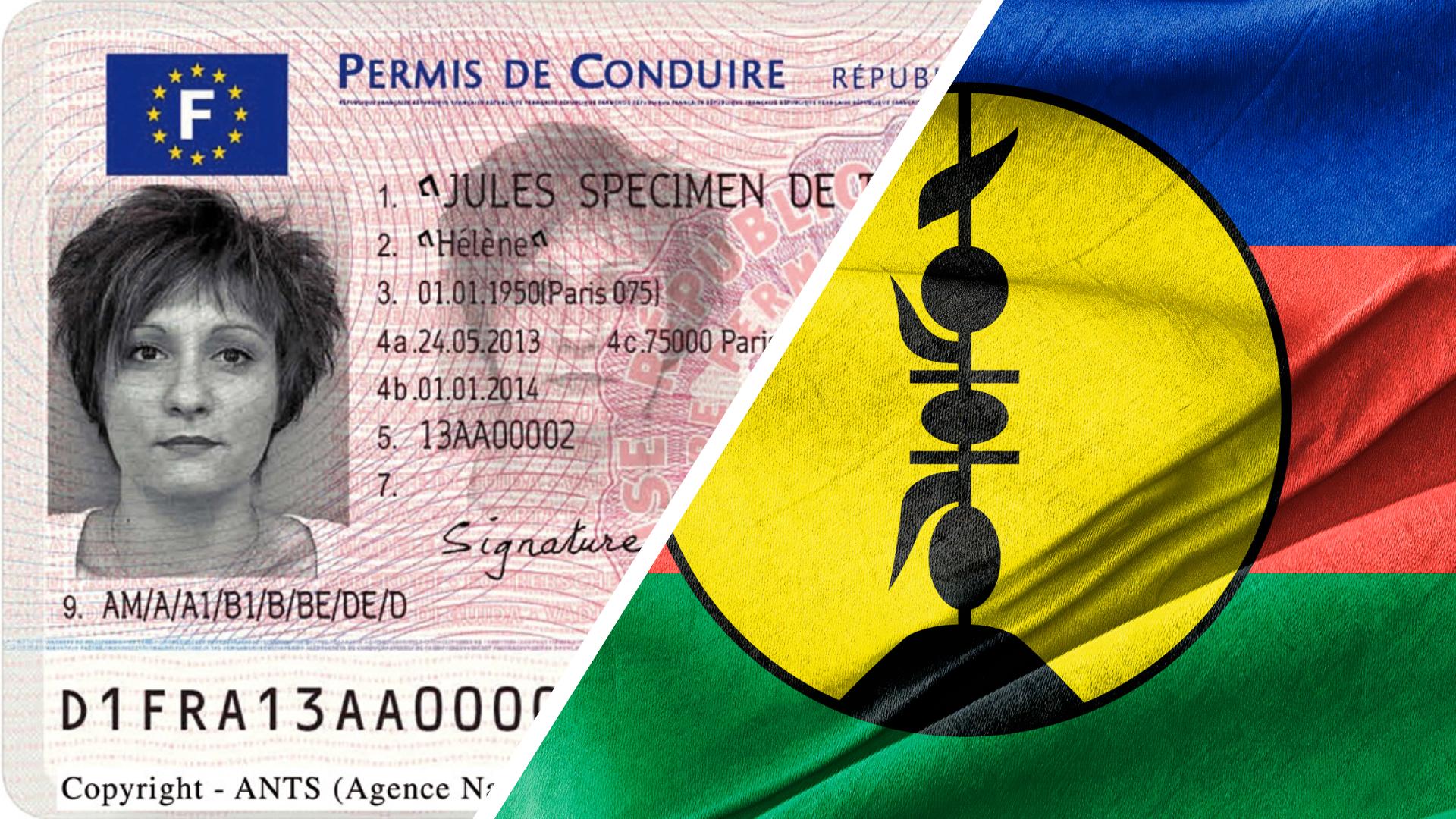 Un drapeau de trop sur le permis : la bataille qui coûte cher à la Nouvelle-Calédonie