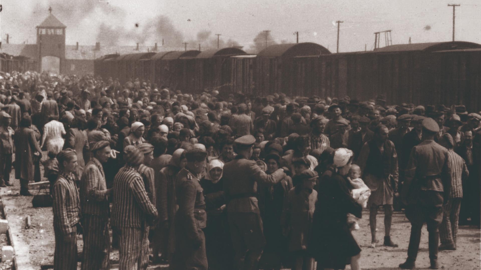 Quand Les Nazis Photographient Leurs Victimes Les Documents In dits Quand Les Nazis Photographient Leurs Victimes Les Documents In dits