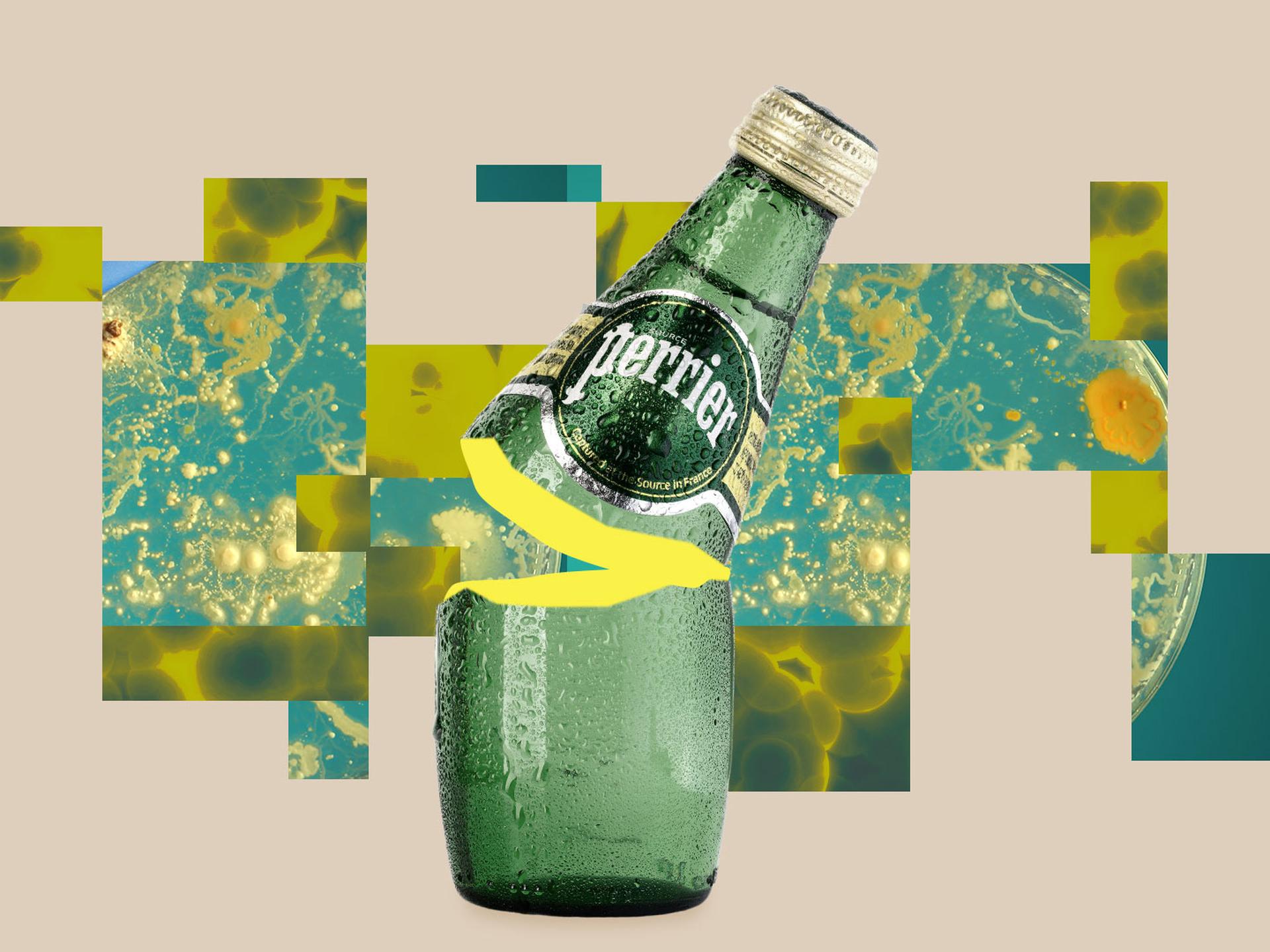 Perrier (Water) 1938 Le Champagne des Eaux de Table, Portrait