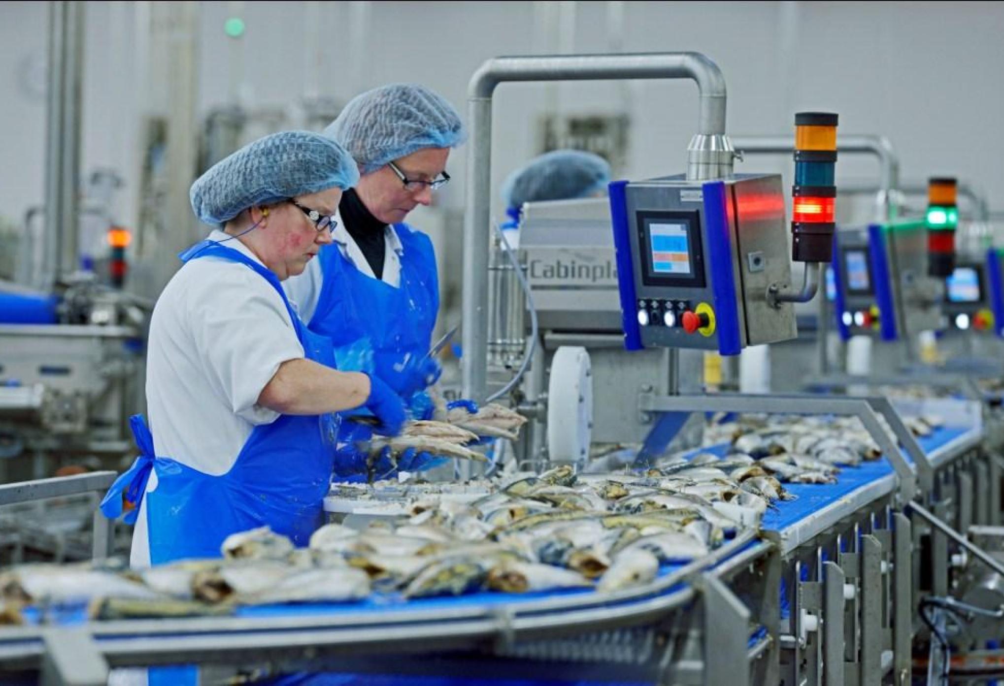 Saupiquet ferme sa toute dernière usine française à Quimper