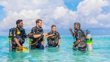 Euro-Divers Worldwide : la plongée sous-marine qui offre une nouvelle vision