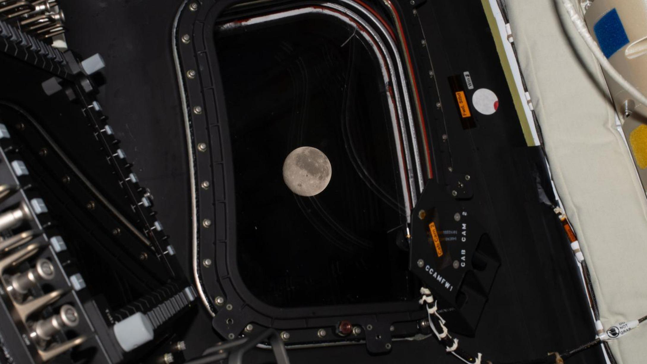 « Nous reviendrons » : après le record de distance, la face cachée de la Lune se révèle à la mission Artémis 2