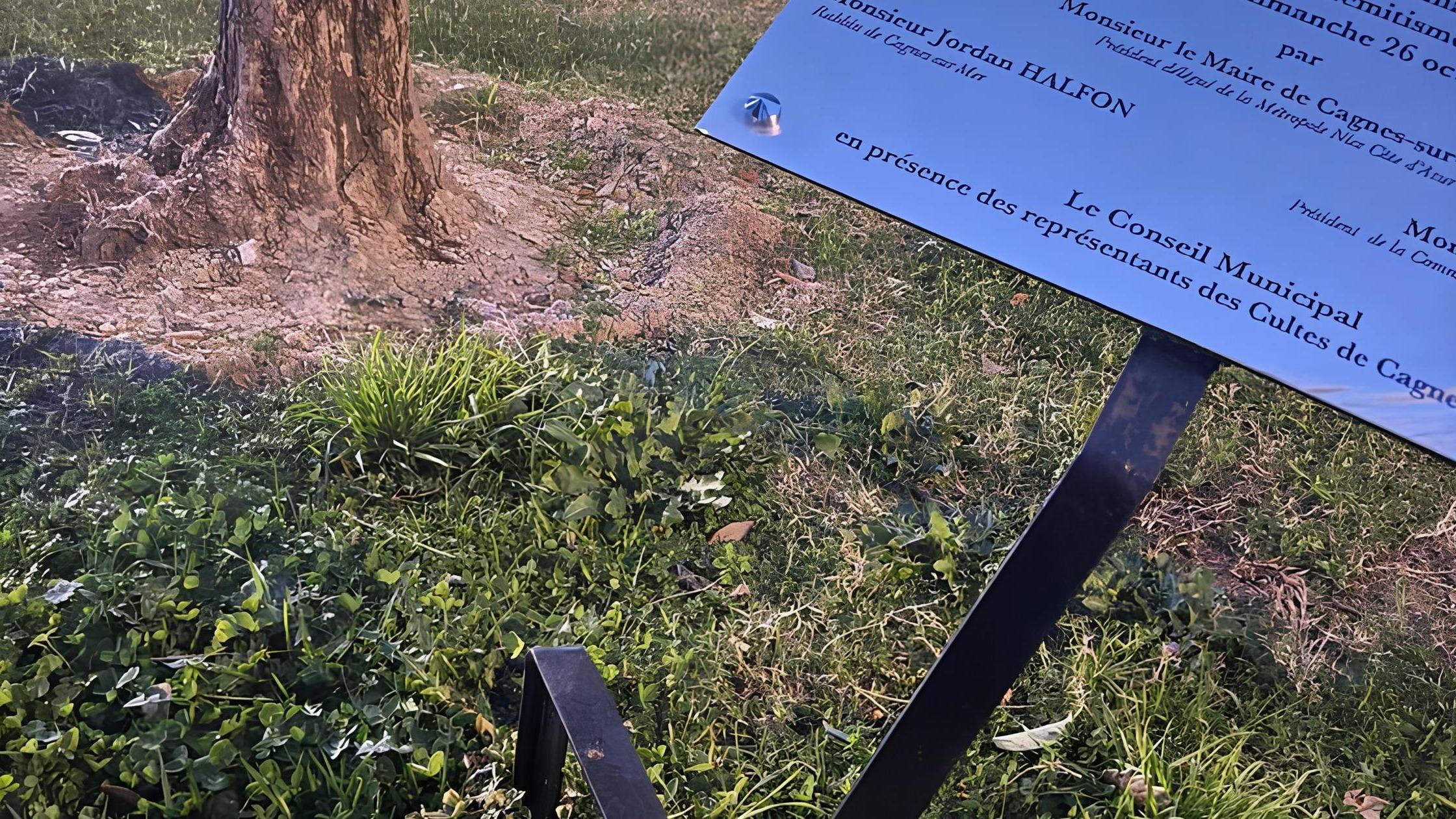 Près de Nice, une plaque en hommage à Ilan Halimi dégradée, un homme interpellé