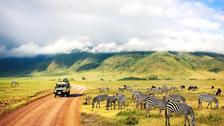 Séjour Tanzanie | 11 jours | Safari en famille en Tanzanie